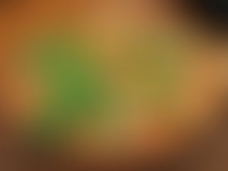 Restaurant in Phuket : WeCafe