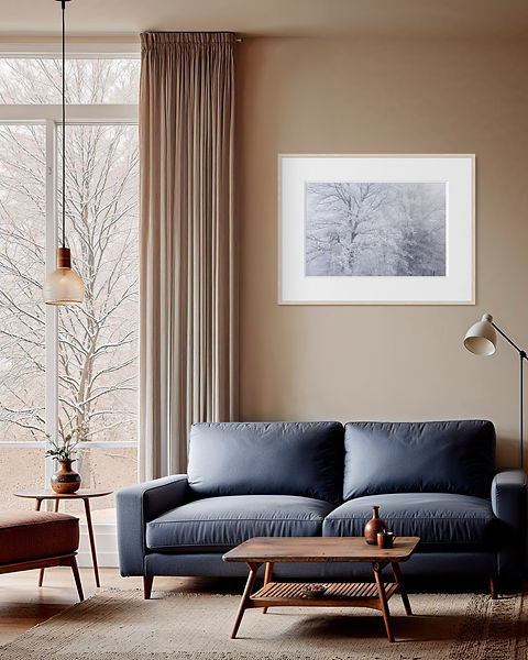 Baumkronen im Schnee1.jpeg