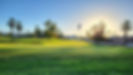 Green1.jpg