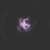 p1.gif