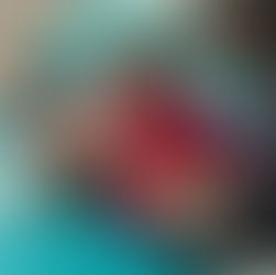 Not- und Zwischenfall-Schulung – 7. Februar