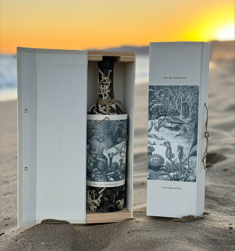 Miniaturbild: Mar de Anémonas - Wein aus dem Meer | limitierte Edition