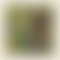 {LEAKED} DOWNLOAD Older Information by Nadav Dagon, Boaz Bentur & Kik FREE (320KBPS)