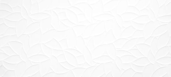 AdobeStock_342504387_edited_edited_edited.jpg