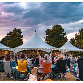 Basingstoke Symphony Orchestra celebrates 95th anniversary with 'magical' outdoor concert!