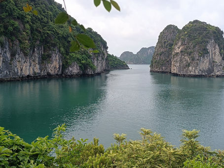 Explorer la baie d’Halong : croisières en jonque et découvertes incontournables