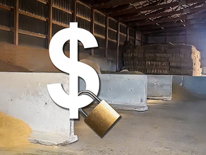 The Time to Lock In Feed Costs May Be Now