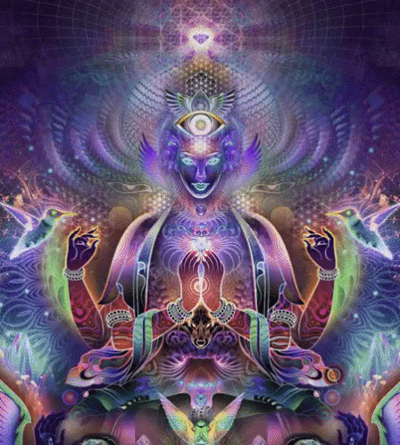 32304913_10156495276723675_5255229590049128448_n.gif