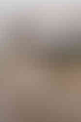 cute portrait of the bride and groom at their las vegas elopement