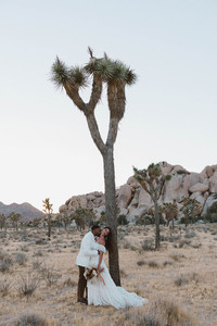 groom kissing the bride on the cheek