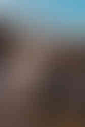 couple at their dream photoshoot