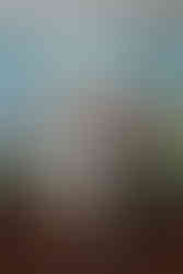 portrait of the bride and groom kissing after their ceremony