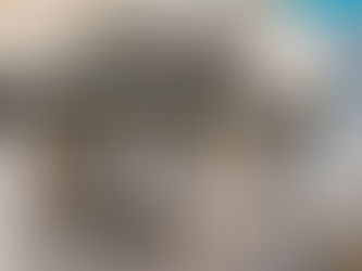 cute picture of the newlyweds holding hands