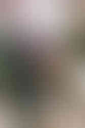 cute couple at their golden hour bridal session