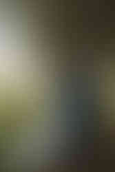 cute picture of the newlyweds