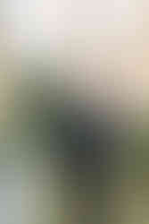 Groom, watching the bride walk down the aisle