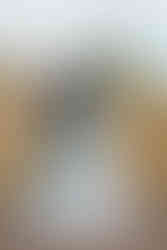 picture of the newlyweds kissing