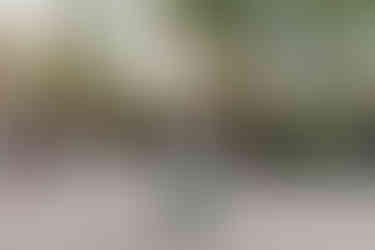 groom dancing at his reception