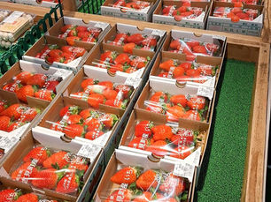 🍓今シーズンの販売がスタートしました!