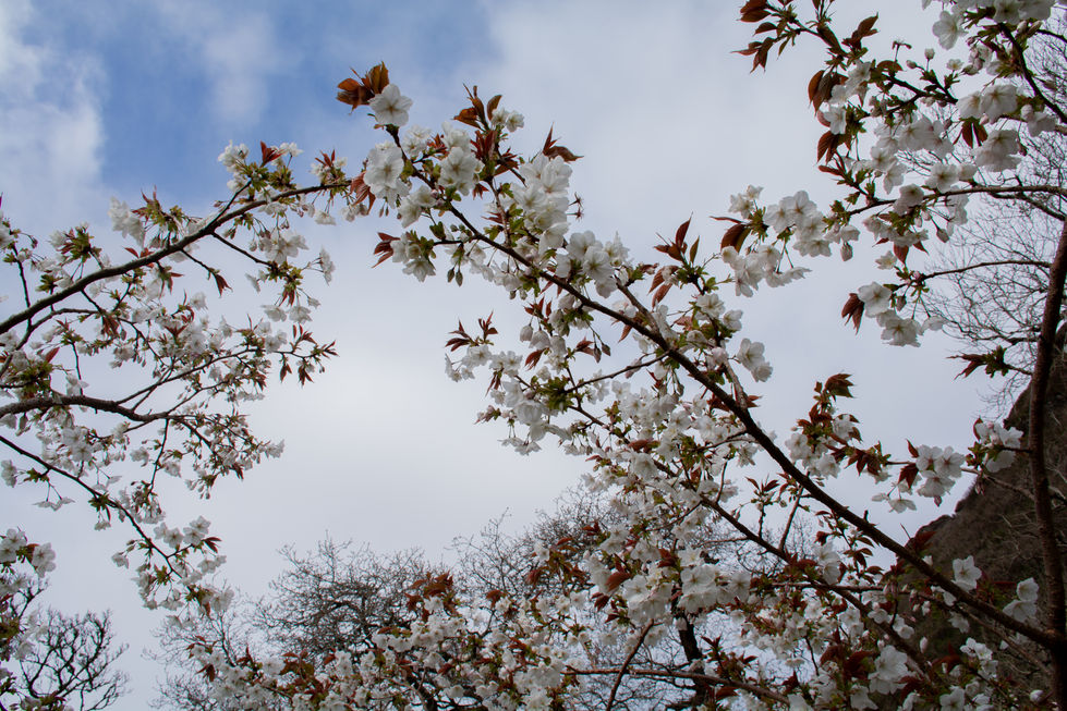 DSC_0418.jpg