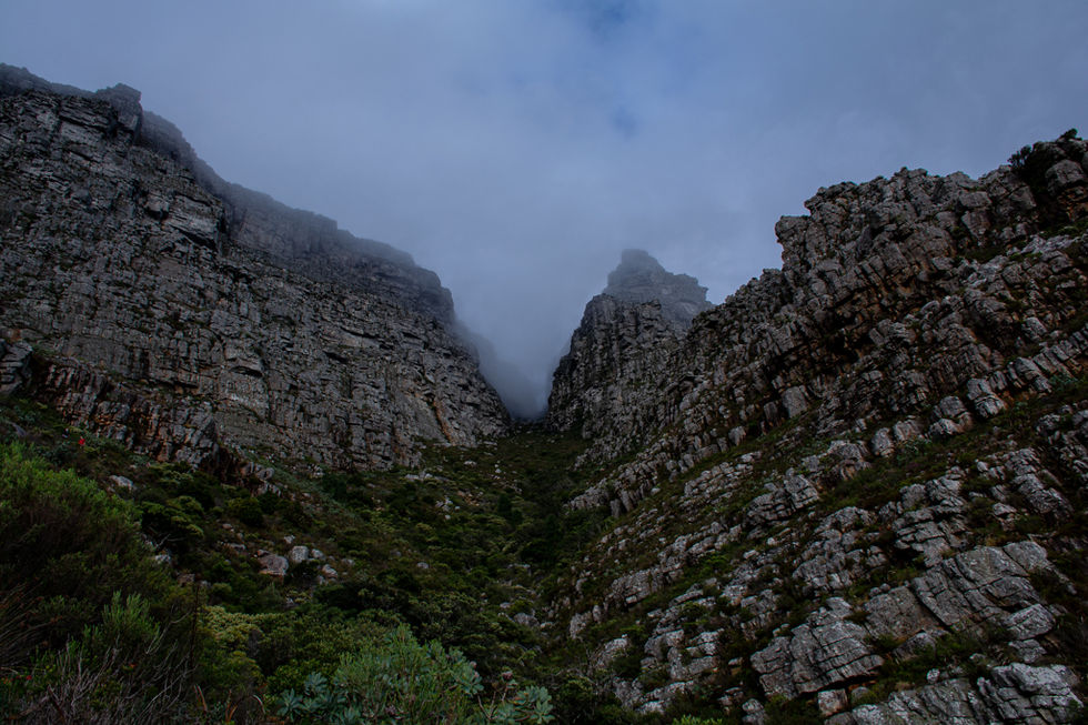 foggymountain.augustus.hoff.jpg