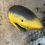 Thumbnail: Mounted Shark Head Wall Hanging