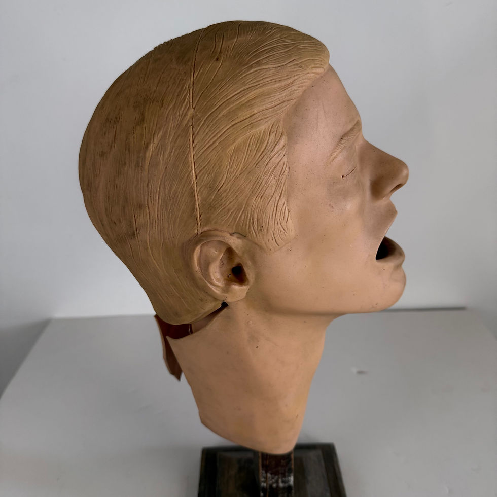 Thumbnail: CPR Dummy Head (Male)