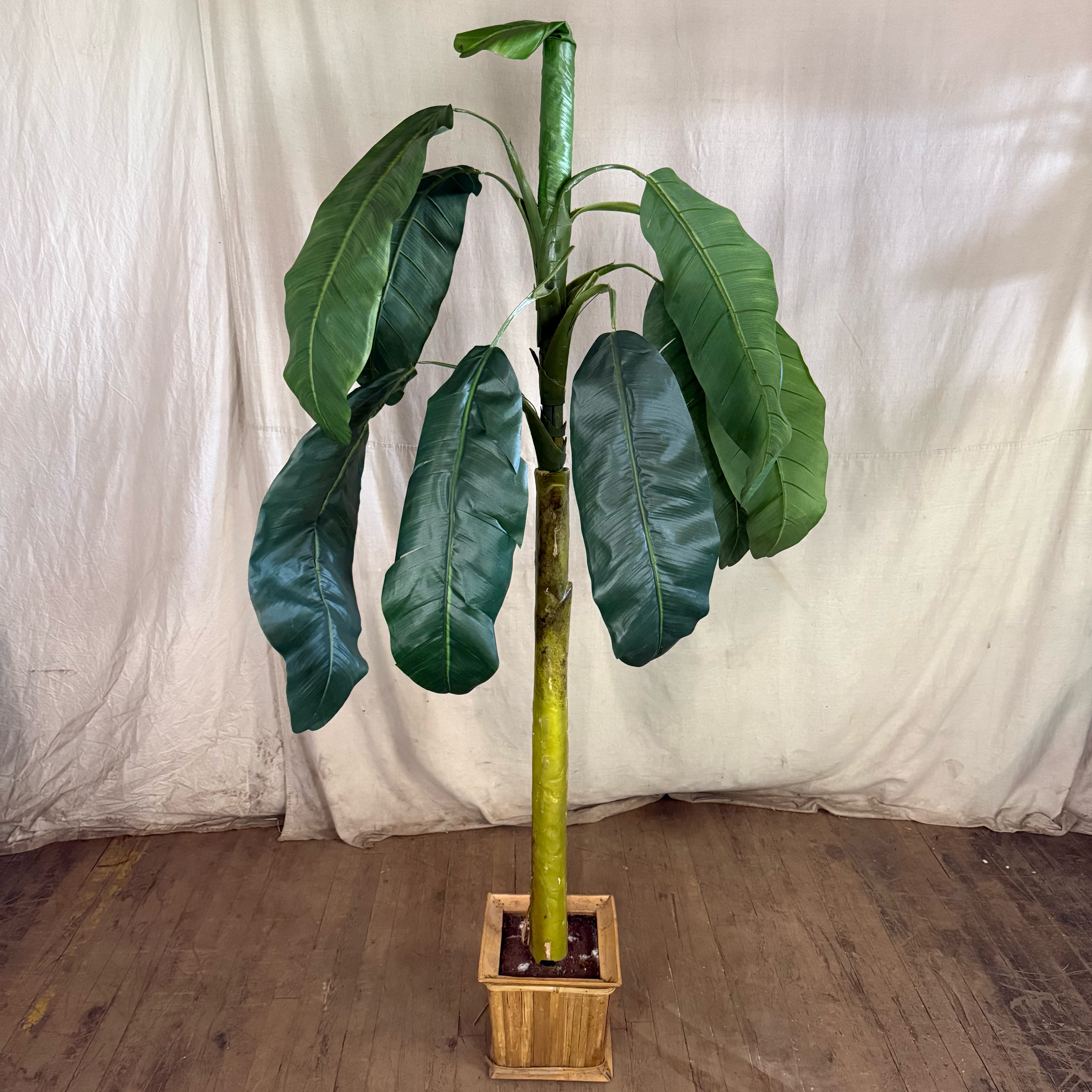 Square Potted Palm Tree