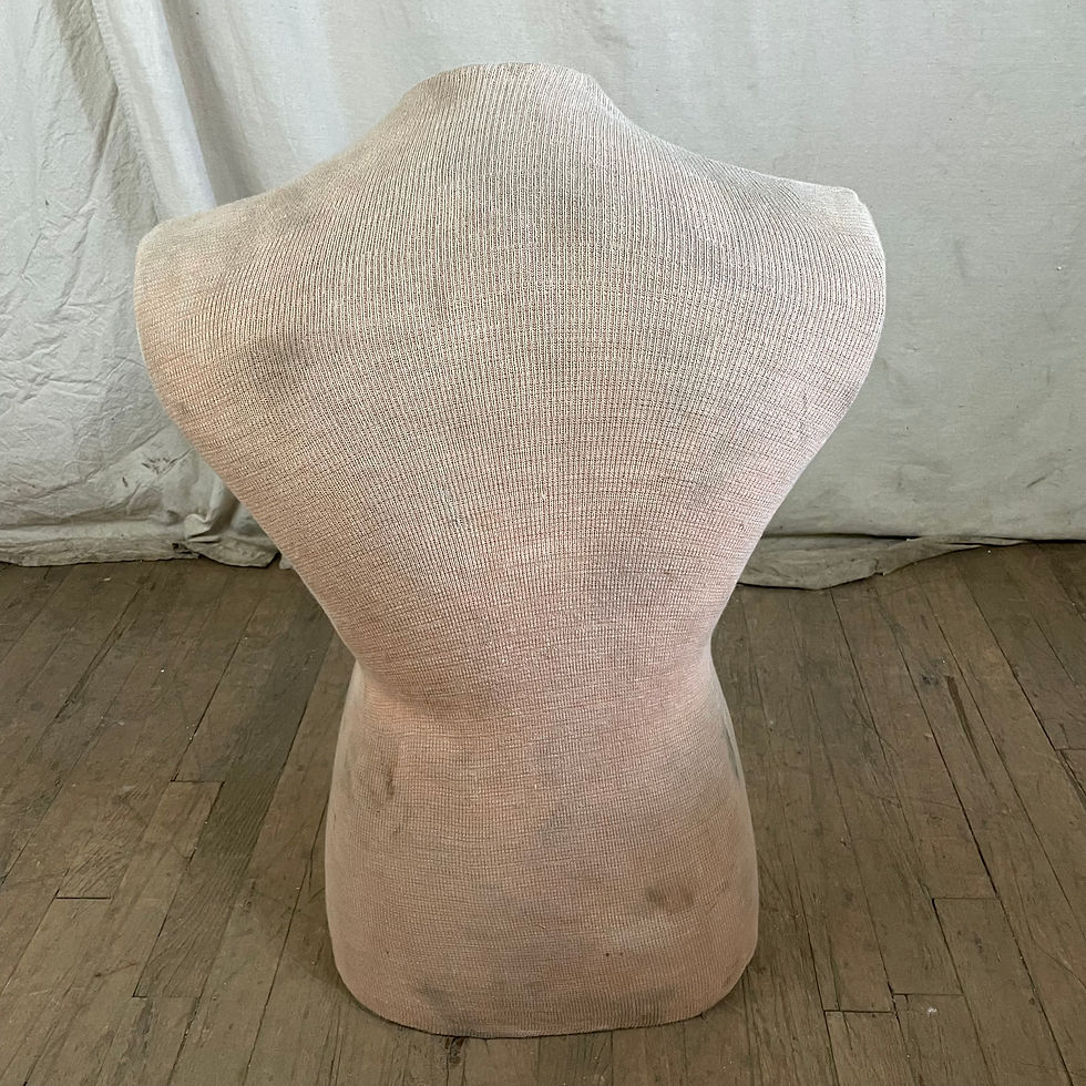 Thumbnail: Light Cloth Torso Dress Form