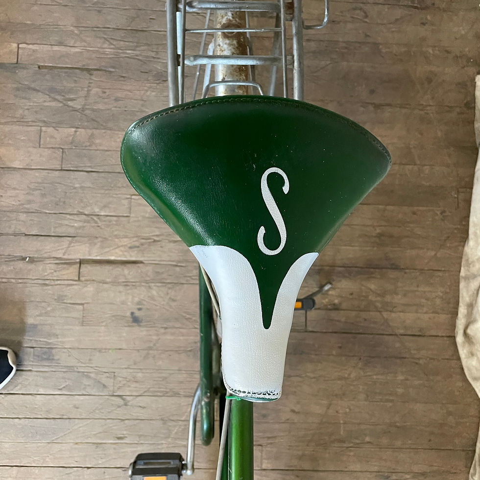 Thumbnail: Green Schwinn Speedster Longwood Cycle Bike