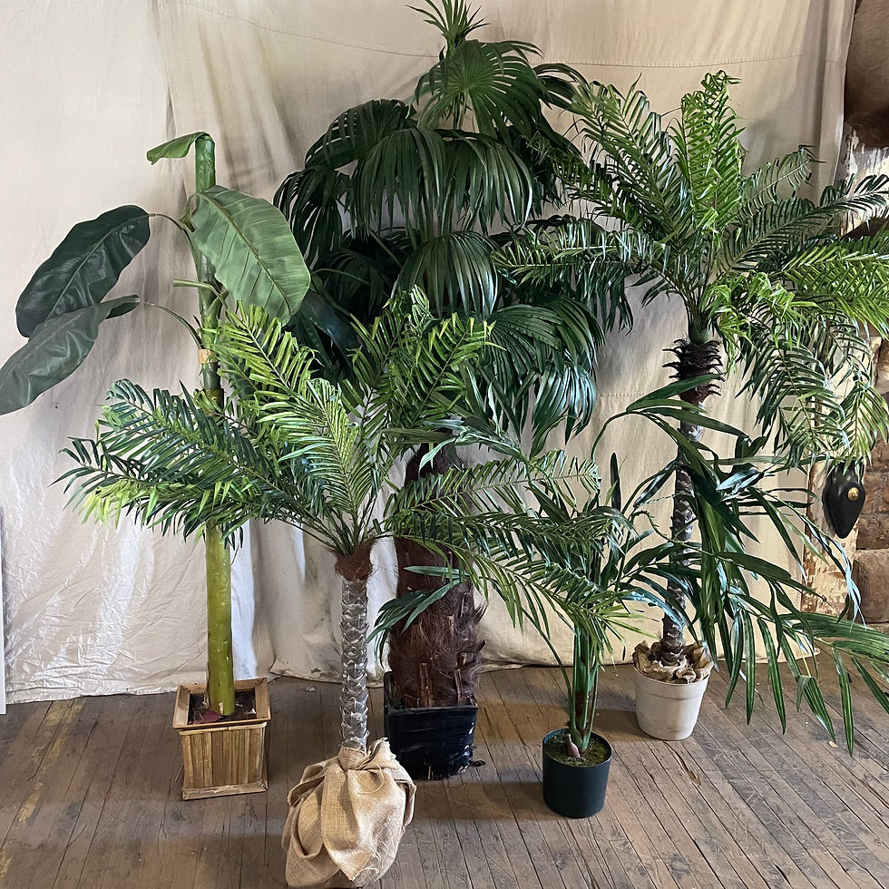 "The Jungle"
