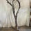 Thumbnail: Dead Driftwood Winter Tree
