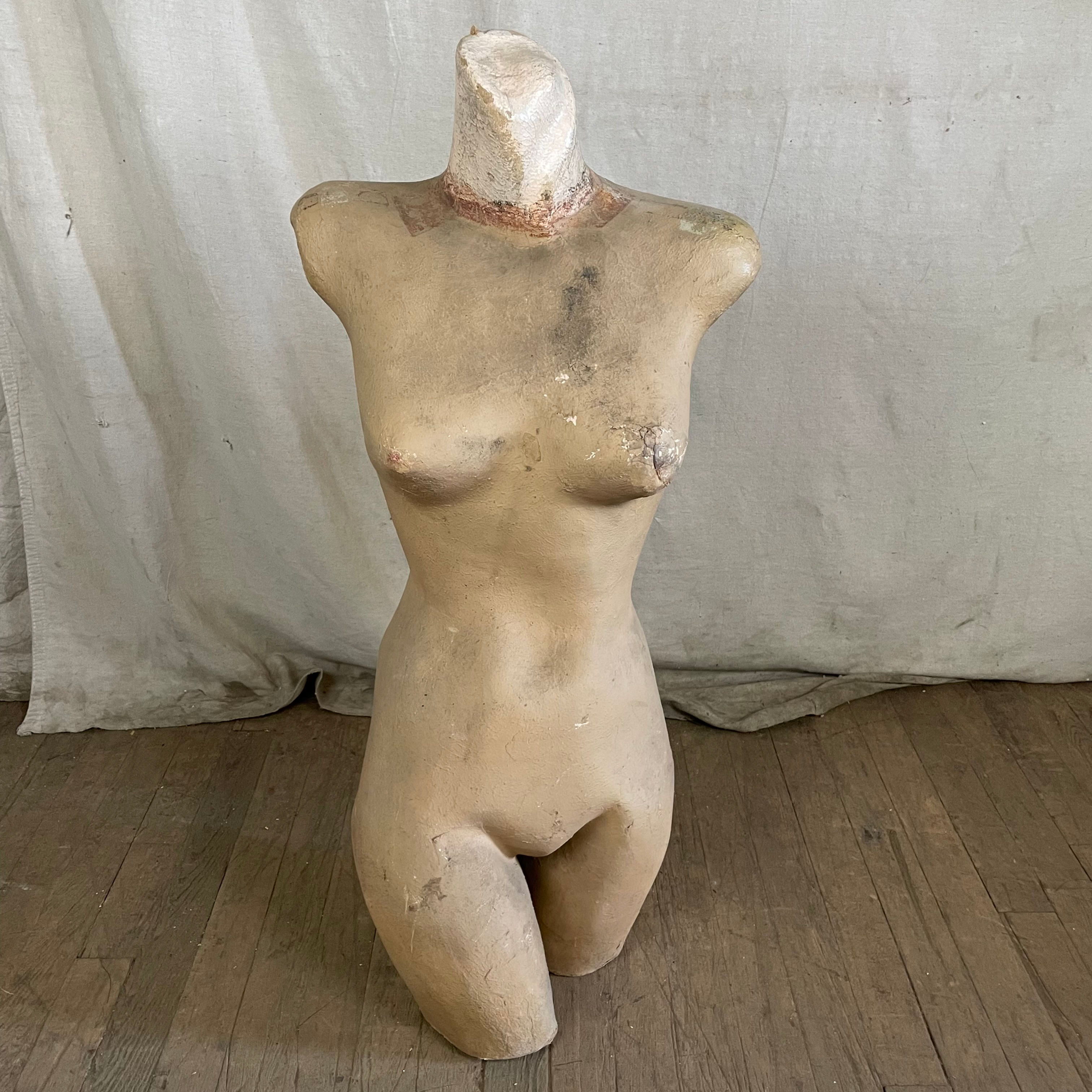 Shapley Female Mannequin Torso Store Display