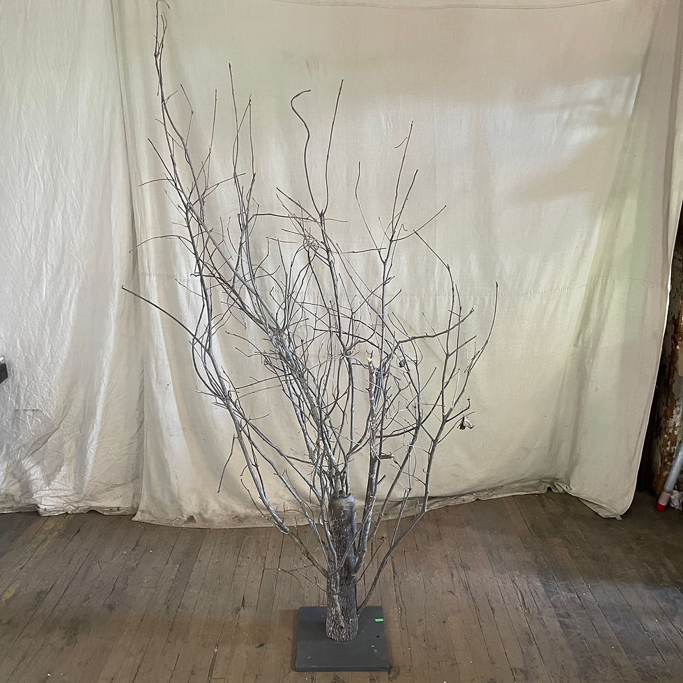Winter Bush