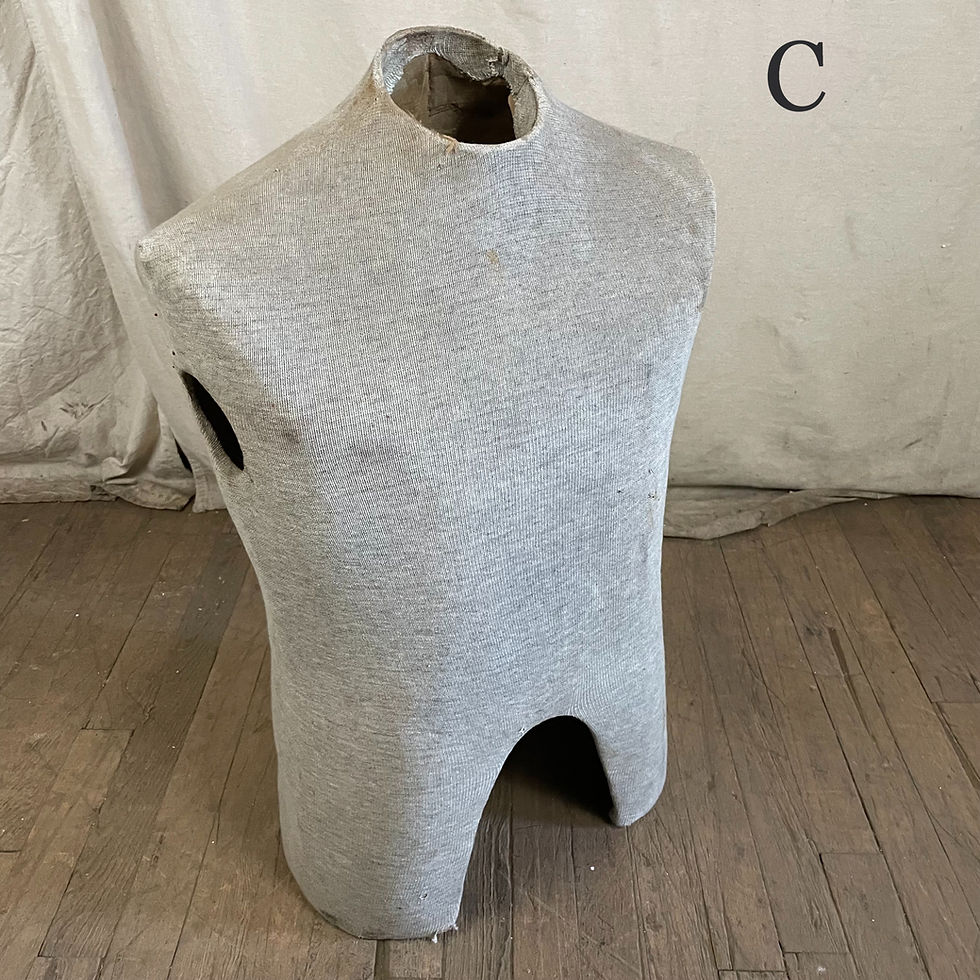 Thumbnail: Various Cloth Dress Form Torsos
