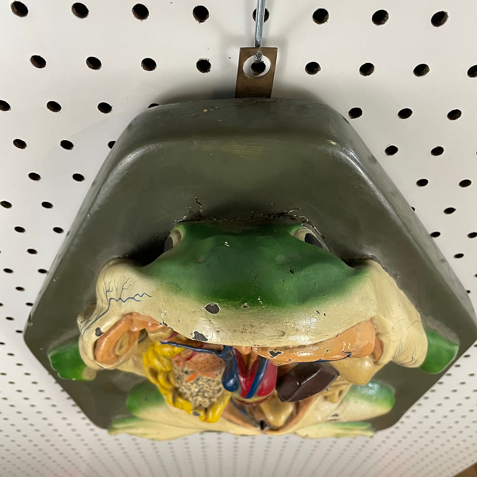 Thumbnail: 3D Frog Dissection Model and Digestive System
