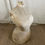 Thumbnail: Shapley Cloth Female Torso Dress Form