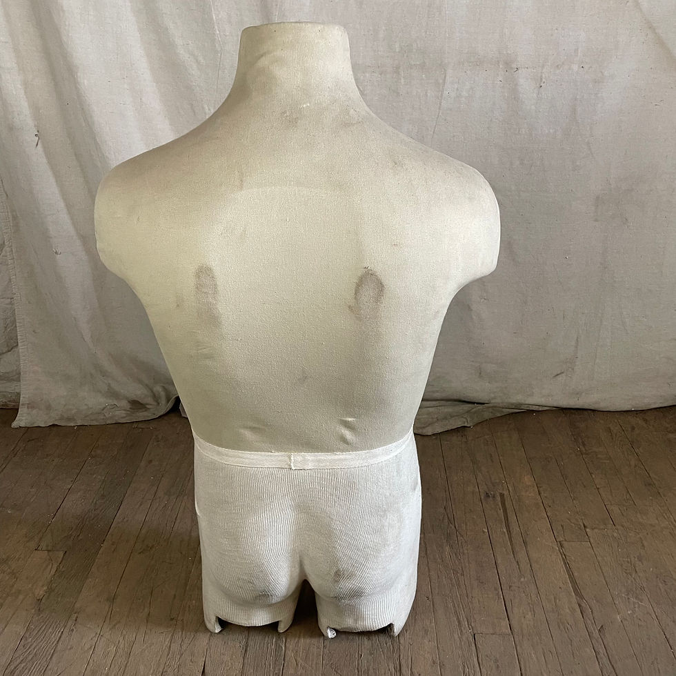 Thumbnail: Male Upper Body Dress Form