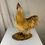 Thumbnail: Light Brown Chicken Taxidermy