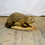 Thumbnail: Taxidermy Muskrat