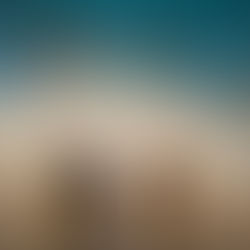 Arona inaugura la exposición de Artes y Letras 2025