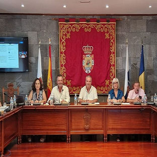 San Miguel de Abona participó en la Comisión de Desarrollo Rural y Pesca de la FECAM