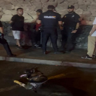 La Unidad K9 de Arona consolida su trabajo con controles preventivos