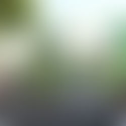 El Gran Coso Apoteosis llena de música, fantasía y diversión las calles de Granadilla