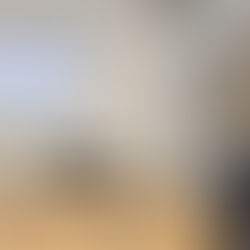 Cabildo y CƔmara informan a las empresas sobre la ley del desperdicio alimentario