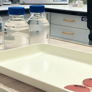El Gobierno informa que el 99 por ciento de las zonas de baño de Tenerife son calificadas aptas