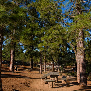 San Miguel de Abona cierra el parque recreativo `Cho Pancho´