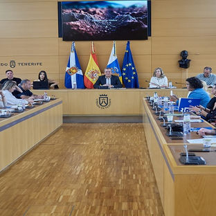 El Cabildo impulsa la Red de Mercados y Mercadillos Agrícolas de Tenerife, AGROMET
