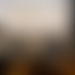 Adeje acercó al alumnado universitario a la gestión pública y la promoción turística