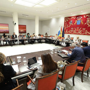 El Gobierno asegura que no hay menores en Canarias para ser adoptados